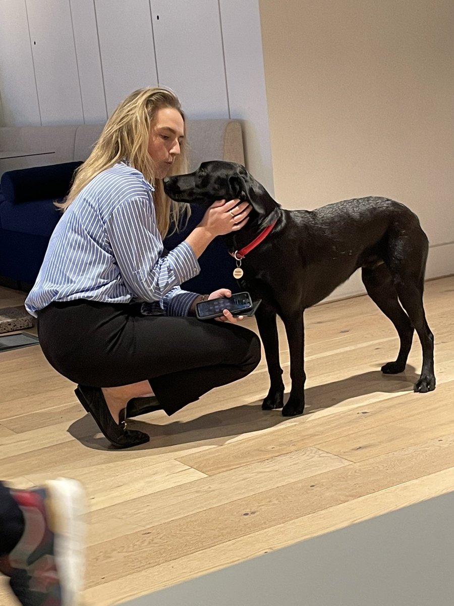 StuartWilsonRPI's tweet photo. Late train home today after a long day for Rafiki bringing joy & smiles to the office @RPInsight @WeWork #DogThursday https://t.co/i0og4GX3b5