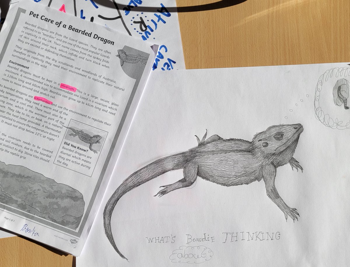 cathalmaco's tweet photo. Differentiated reading comprehension with a twist of art...a nice way to incorporate a students personal interest &amp; creative skills...helping to build literacy &amp; of course a love Biology/Zoology #Biology #learningsupport #steAm creativeed https://t.co/EODriSFA7m