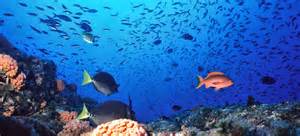 Call it the Gulf of Cortez, the Gulf of California, or the Sea of Cortez; it doesnt really matter.  What matters is that it offers some of the most interesting water sport diversions at the same time. Read > Travel the Sea of Cortez, Mexico  bit.ly/3E6tVhE