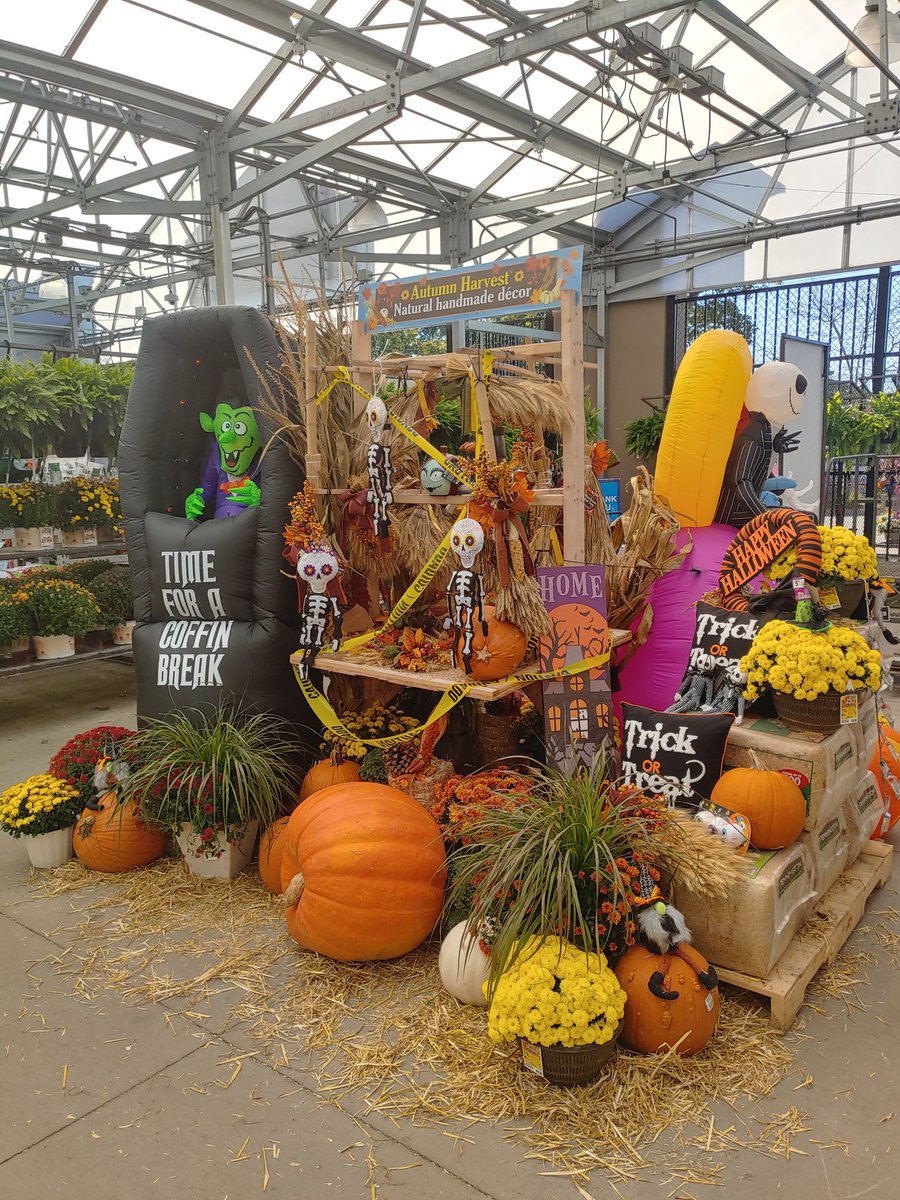 Lowes2263's tweet photo. Lowes of waterford CT is ready for our trick or treaters!!! Thanks kathy for a great display for the kids!!!! @CastagnaMike1 @DANIEL12520802 @michaelbokis1 @LowesSteveh @JoeMcFarland_ @TweetUsR30 https://t.co/aY5HPmnVP2