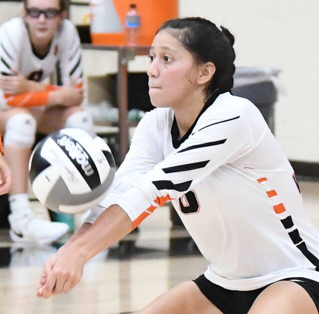 Lady Hurricane VB🏐 tweet media