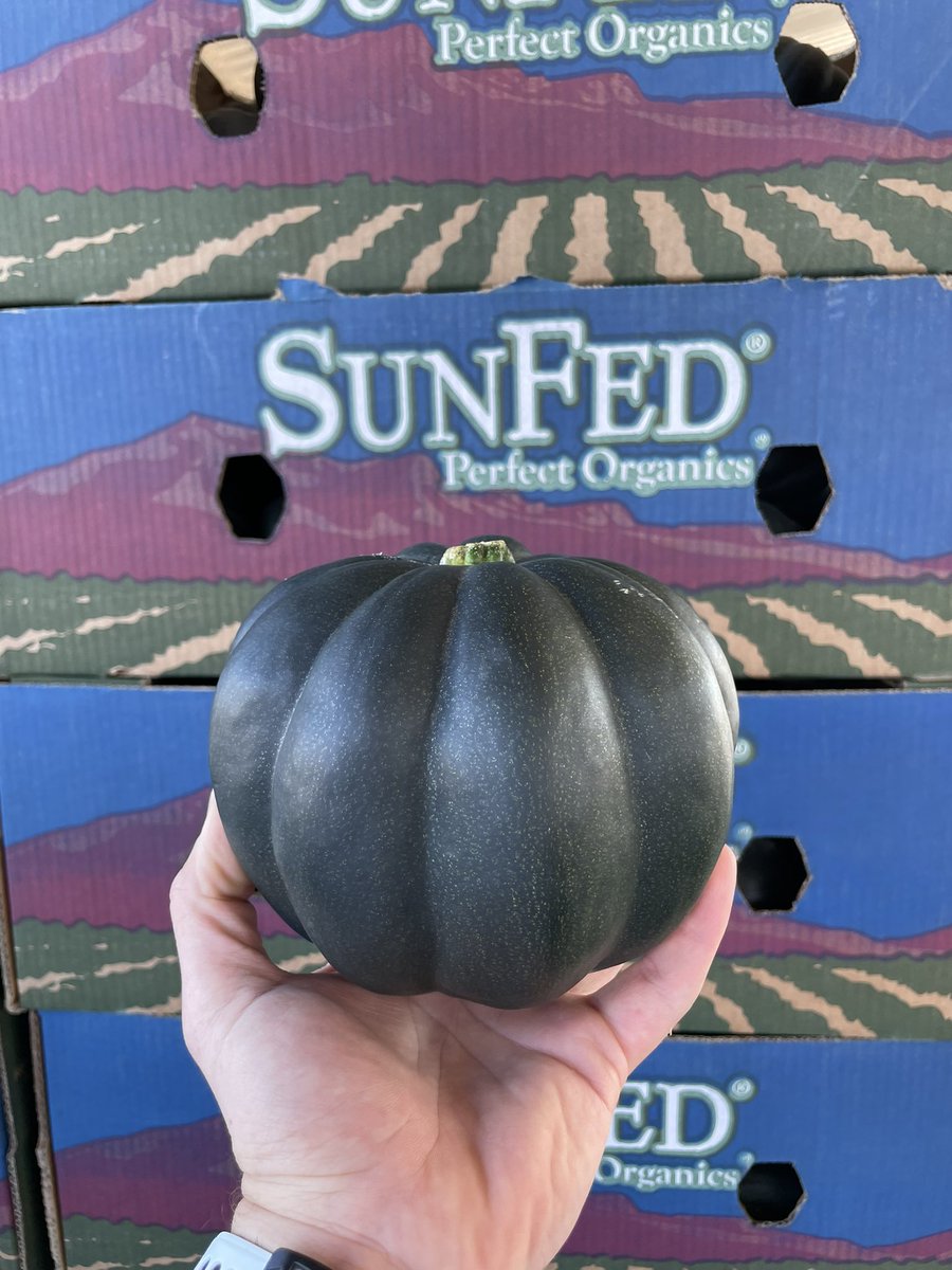 domingoelias's tweet photo. Acorn #perfectproduce @_PerfectProduce https://t.co/q6v40nPHA6