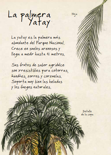 franalverja's tweet photo. ¿Tenés pensado visitar el Parque Nacional El Palmar? Descargate antes la guía Veo Veo que te va a ayudar a aprovechar y disfrutar mejor de su naturaleza y paisajes. @ParquesOficial #LaRutaNatural
https://t.co/f8HhCvAbsm https://t.co/q8vjAYwDoc