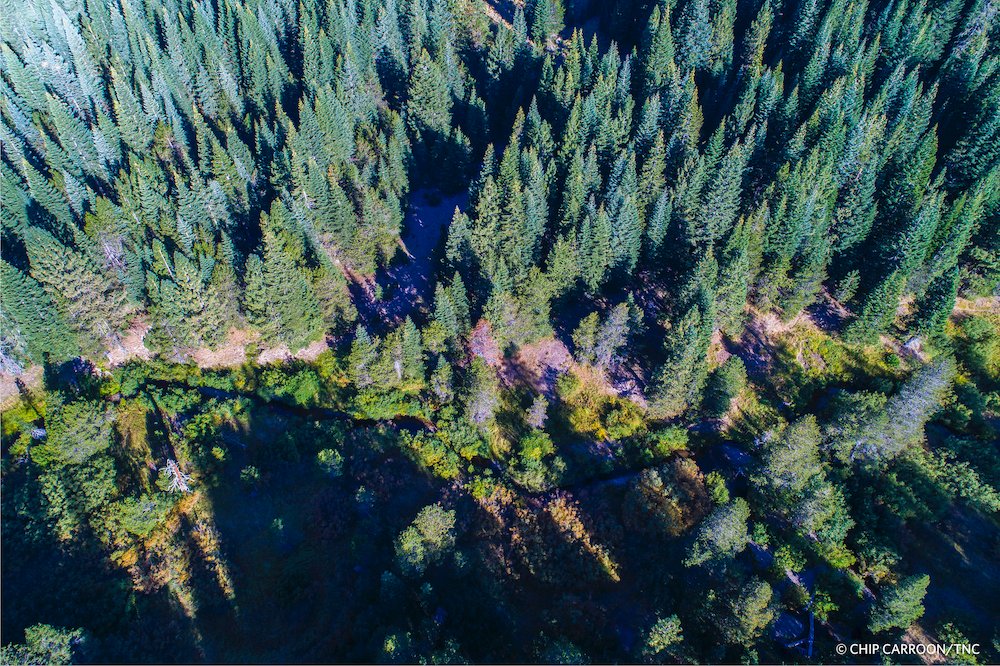 Nature_Nevada's tweet photo. Congress is considering climate-fighting policies that would enable the U.S. to meet its goal of reducing emissions 50% by 2030. Including robust climate action in #BuildBackBetteris a can’t-miss opportunity. https://t.co/Q2VCjDZBbV https://t.co/uG3YDzYj4J
