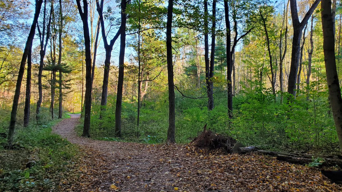JustOutAndAbout's tweet photo. Went to Bronte Creek Provincial Park for a hike. Happened upon @OPBronteCreek’s 18-hole disc golf course.  Loved the impromptu lesson I got on disc golf and selecting the right disc. #discgolf #discgolflife #DiscoverON #OntarioParks #Oakville #autumn @ontarioparks @VisitOakville https://t.co/8n9JS27FE2