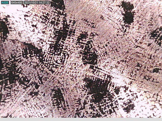 aliza_taft's tweet photo. Today in #conservationlife - dendritic structure in copper alloy visible to the naked eye 👀😍 (phone vs dinolite image) https://t.co/YtgrJJ4hO1