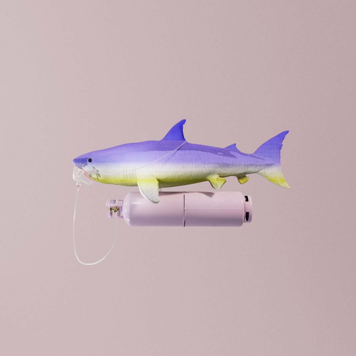hrtkassh's tweet photo. 🐩Animals🐩🐩Animals🐩🐩Animals🐩

Dragon Pole
0.67tez
https://t.co/grHJz0FXgh

Non Fungible Shark:
1.0tez
https://t.co/CHtLCus3Du

Non Fungible Whale [PoW]:
40tez (secondary)
https://t.co/Wbf7une07s

#hicetnunc #hicetnunc2000 #tezos #NFT #CleanNFT #テゾス #plenty #OBJKT https://t.co/NfzmiB95ac