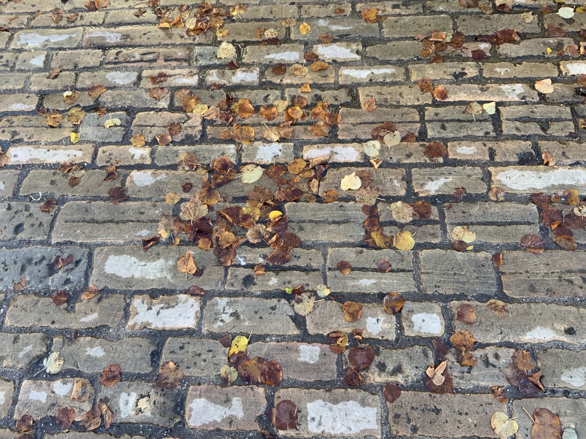artisanschool's tweet photo. This is how it feels..#autumn #chillier https://t.co/T42Kj1yTUK