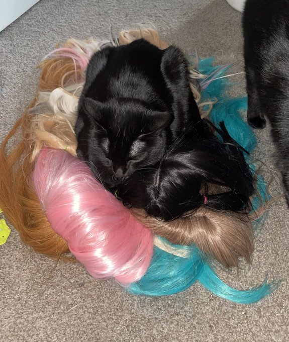 Miss I just want to wash my wigs they are not a nest even tho some of them currently feel like one https://t<a href="/tag/smcontest"class="tags"><span>#smcontest</span></a>