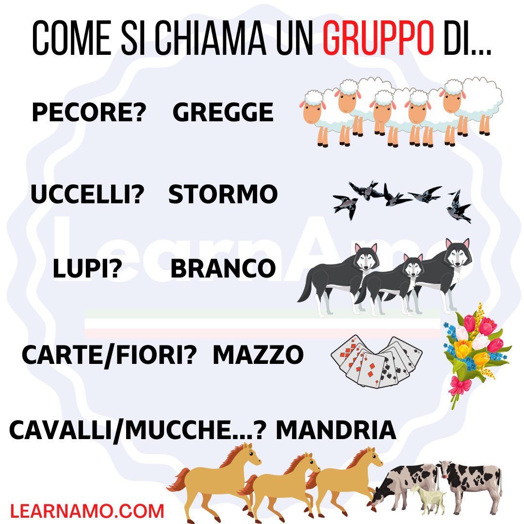 LearnAmo's tweet photo. Un gruppo di apiโฆ? ๐
#learnitalian #italian #italiano #italianlanguage #linguaitaliana #italianoperstranieri #LearnAmo https://t.co/ttGaF3lU3M