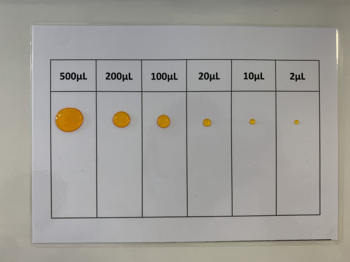 VJarrousse's tweet photo. Thanks to @ABEProgOffice @abe_france @SabriCol94
Les #TSTLbiotech du @lyceeUruguay77 sont devenus des experts dans la manipulation des microvolumes #biotech_is_fun https://t.co/C7YNegK1Uq
