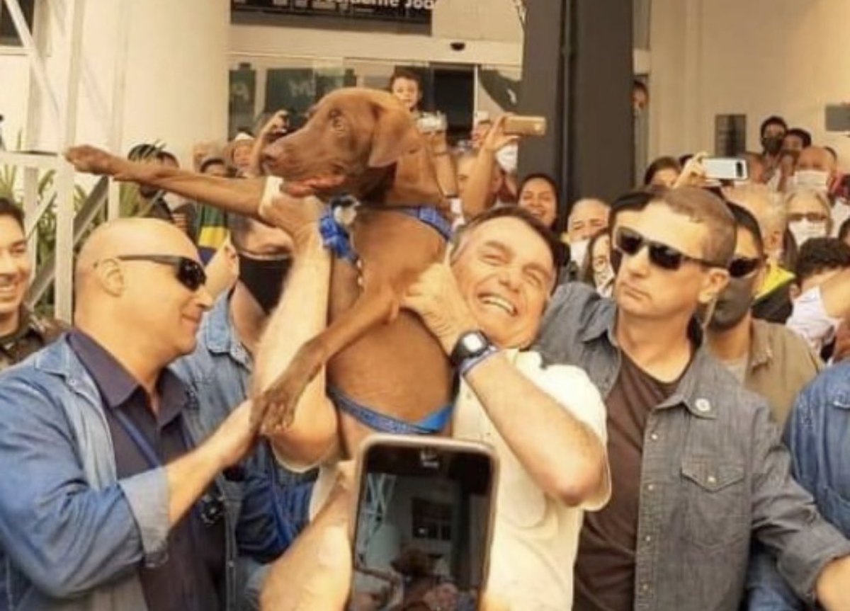 jairbolsonaro's tweet photo. - Sancionada a lei 6610/19 que proíbe que órgãos públicos pratiquem o sacrifício de cães e gatos de rua que estejam saudáveis. https://t.co/OO23Bql1fk