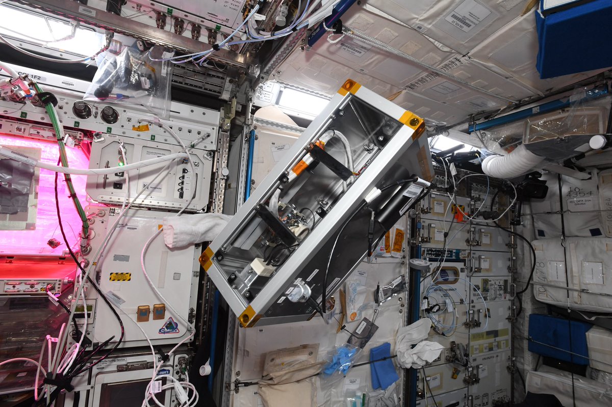 MP_In_Space tweet media