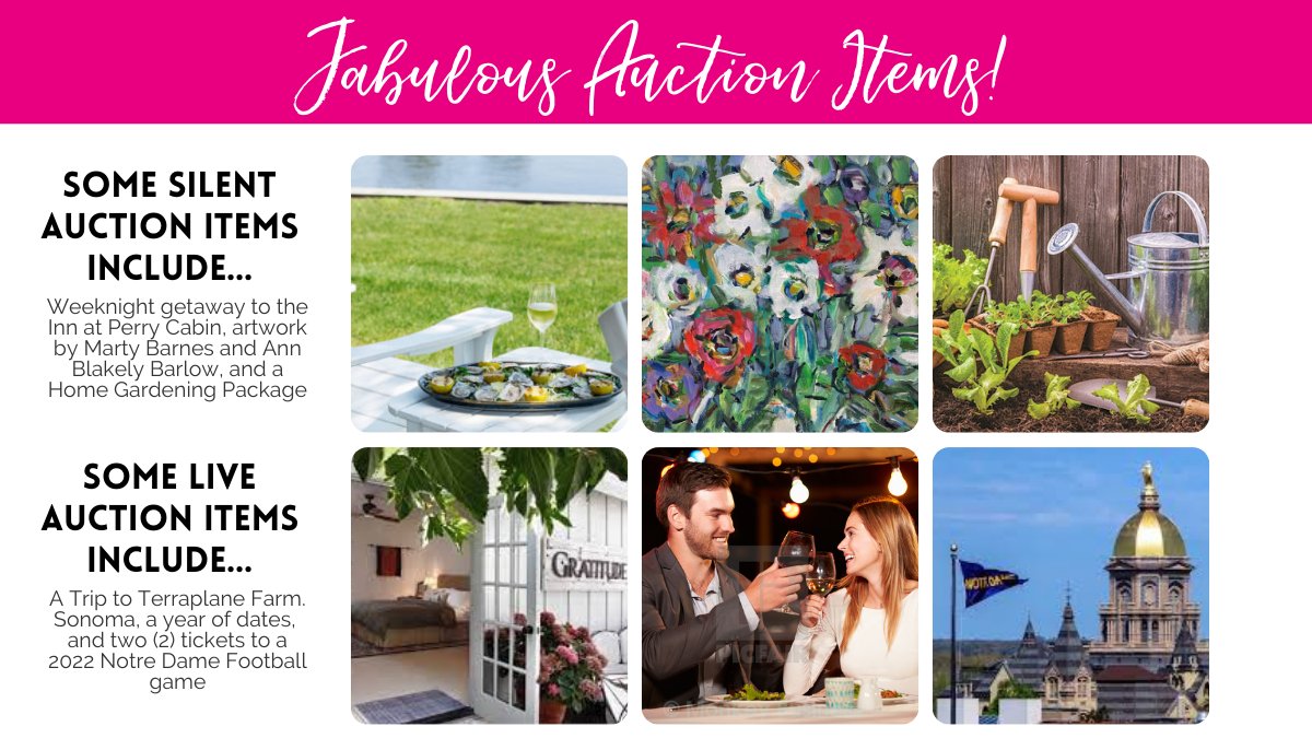 We have some fabulous silent and live auction items for Wine, Women and Shoes! You do not have to be there to bid- click the link below for the full list of auction items!
lnkd.in/djnZAk5A