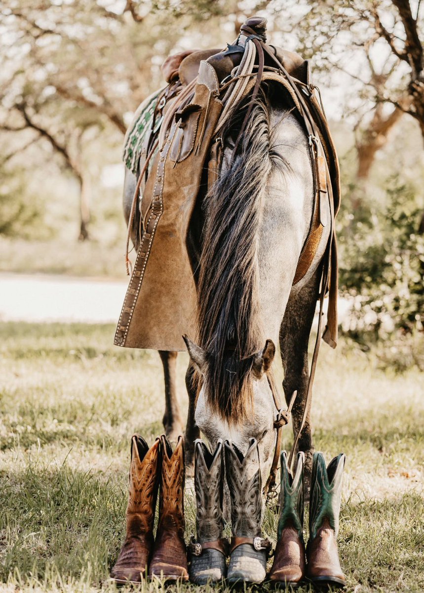 highpinesmedia's tweet photo. Happy freakin Birthday Azulado Boots! 🤠 https://t.co/ILuEB6Bt74