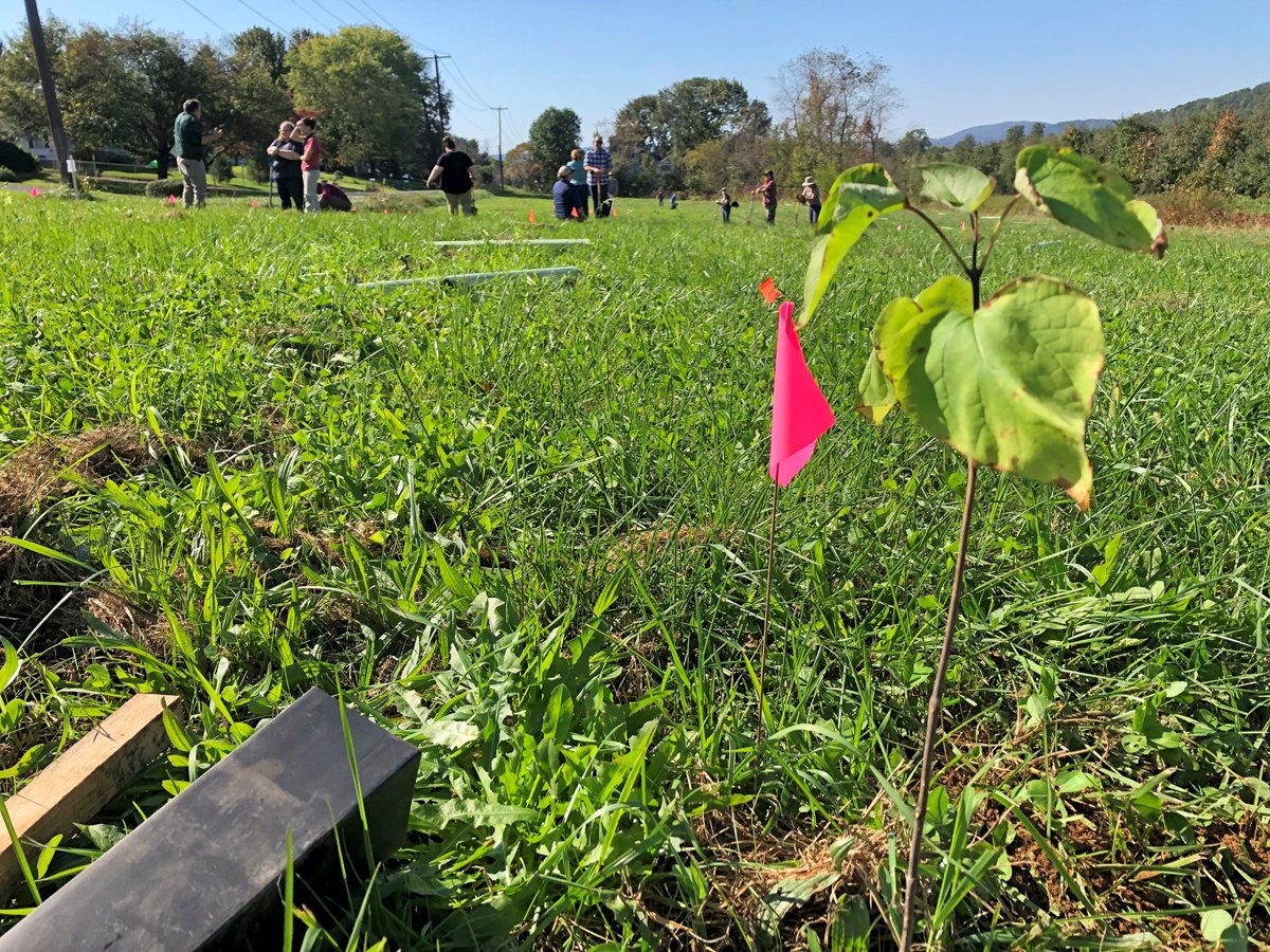 DCNRnews's tweet photo. DCNR Sec. Dunn joined Knouse Foods officials, @AllianceForBay & partners for a #StreamBuffer planting at the fruit grower owned cooperative operations to improve water quality of an unnamed tributary to the Conewago Creek & eventually the #ChesapeakeBay ➡️ https://t.co/gDfSNiKATp https://t.co/GLnHXOlhtn