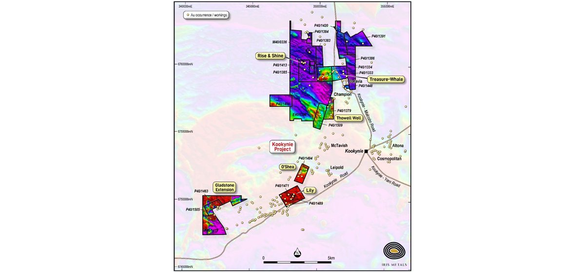 IrisMetals's tweet photo. #IR1 $IR1 @IrisMetals  pleased to report:
🧲Processing &amp;interpretation of aeromagnetics at #Kookynie has generated an additional 24 high priority targets.
🪙 RC drilling at Kookynie  progressing ahead of schedule - over 4,500m already completed.
#Gold #asxnews https://t.co/CnQ6oylJwO