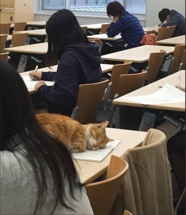 Lise hayatım nasıl mı geçti