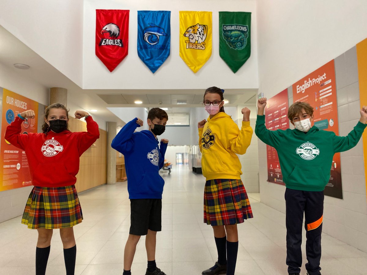 AlboradaColegio's tweet photo. Ya tenemos a nuestros Capitanes y Vicecapitanes de las Houses. Los alumnos han estado viendo los discursos de los candidatos, y el viernes pasado fueron las elecciones. 
👏🏻👏🏻 ¡Mañana conoceremos a los elegidos! en la “Ceremonia de inauguración”!!
#HousesAlborada 🦎🦅🐯🐬 https://t.co/swHWyRQBuW