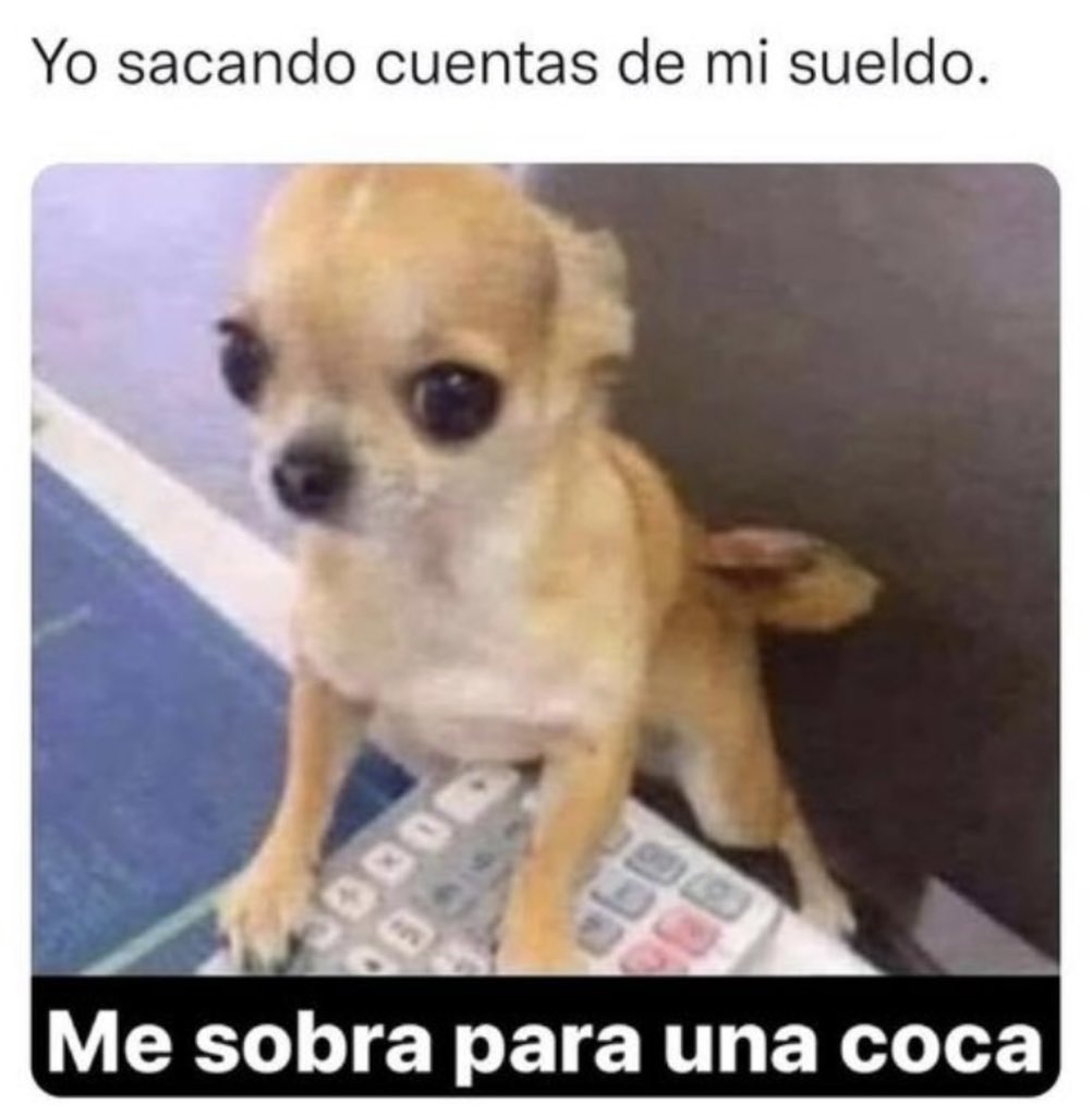 Lomitos Suavecitos (@suaveslomitos) on Twitter photo 