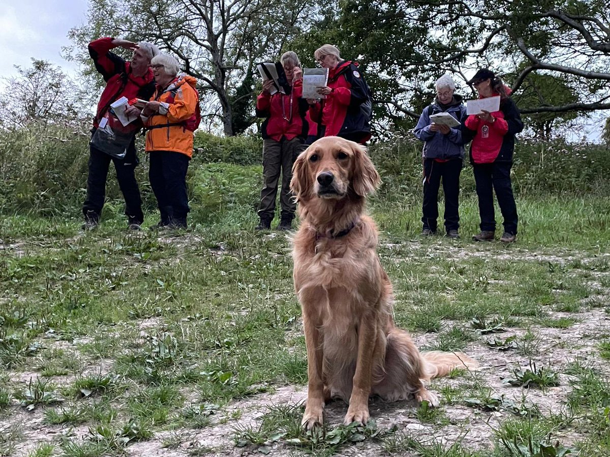 SDSussex's tweet photo. Search Dog Shanti patiently waiting! π πΊ
#NavTraining
#SearchDogsSussex
#SearchDogShanti https://t.co/Gu1qIV8ciQ