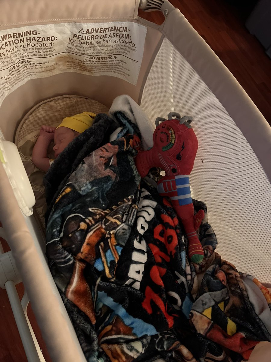ReaperTatted's tweet photo. @CodeNamePizza Baby Reaper is here! Born 24hours ago and we are home! We is all COD zombies decked out! Legend! https://t.co/i9okhwvH3X