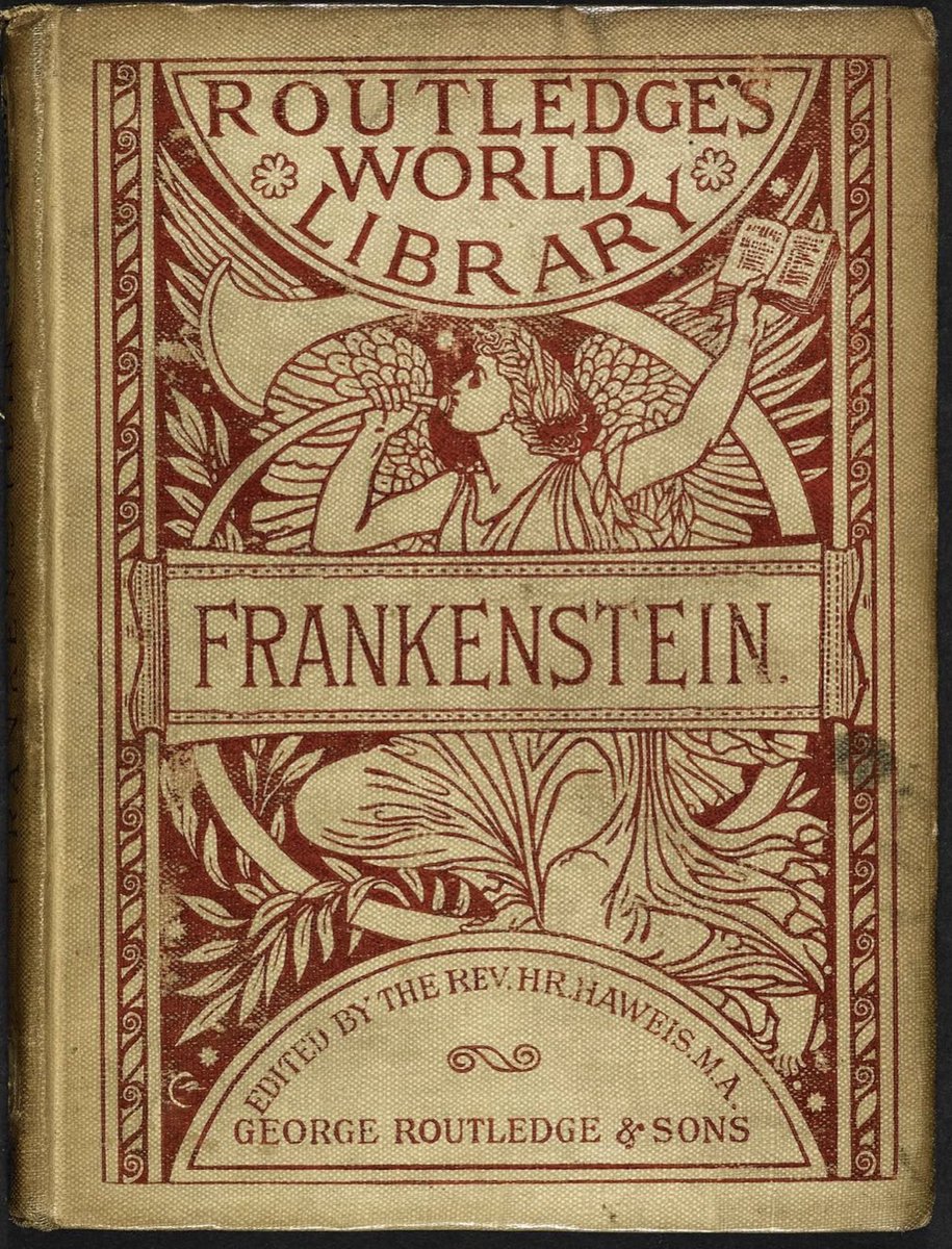 Erica Cottingham tweet media