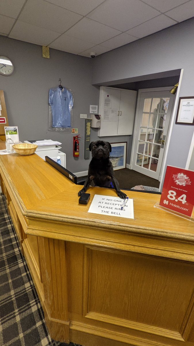 craigfyfe_1's tweet photo. Working away and got to my hotel quite late but the reception staff were brilliant even helped with my bags to the room https://t.co/S08J8EJFI0