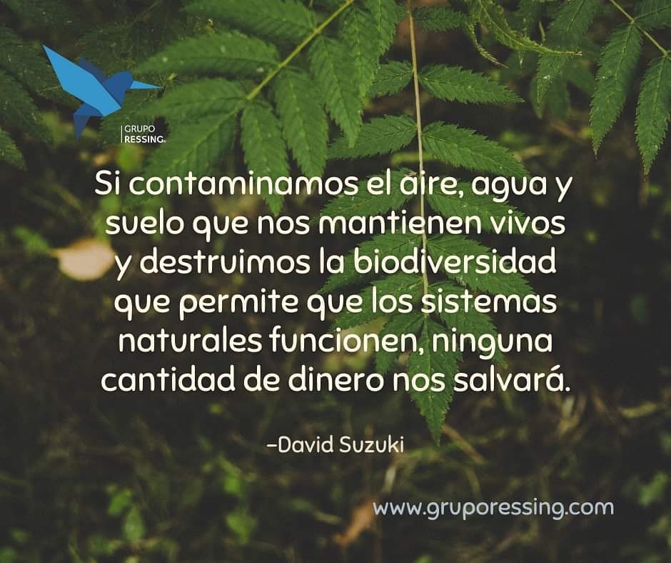GrupoRessing's tweet photo. Cuidar el #MedioAmbiente es nuestro deber. ✅♻️🌎🌱🙌🏼
#GrupoRessing #Reduce #Reutiliza #3R #ConsumoResponsable #CuidaElPlaneta #MundoLimpio #PiensaVerde #ecofriendly #eco #sustentable #Preforma #Blister #Envases #Plástico #Botellas #PET #Reciclaje https://t.co/TjIlLWybcp