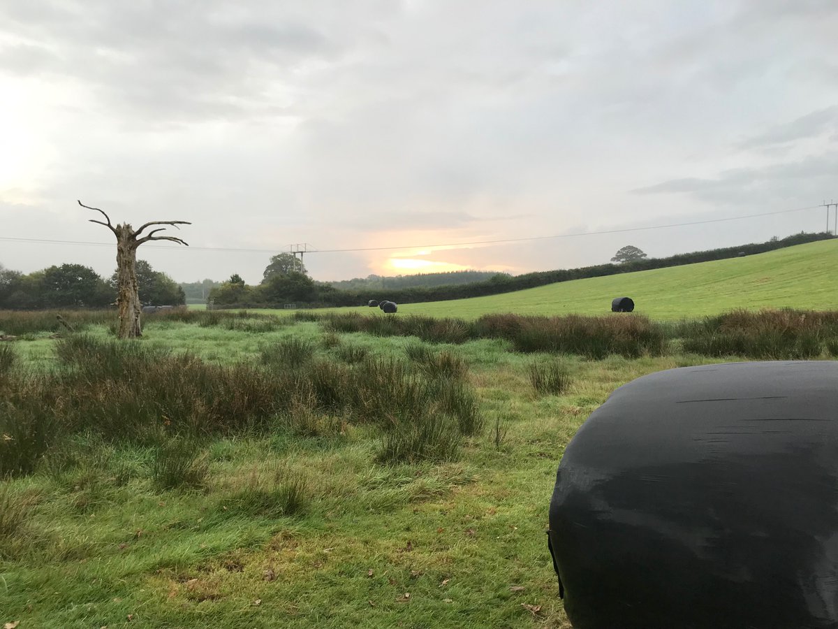 realdoll03's tweet photo. Out and about in #themiddleofnowhere https://t.co/3YaguShMV1