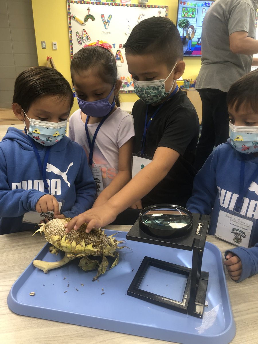 Ida Rodriguez tweet media