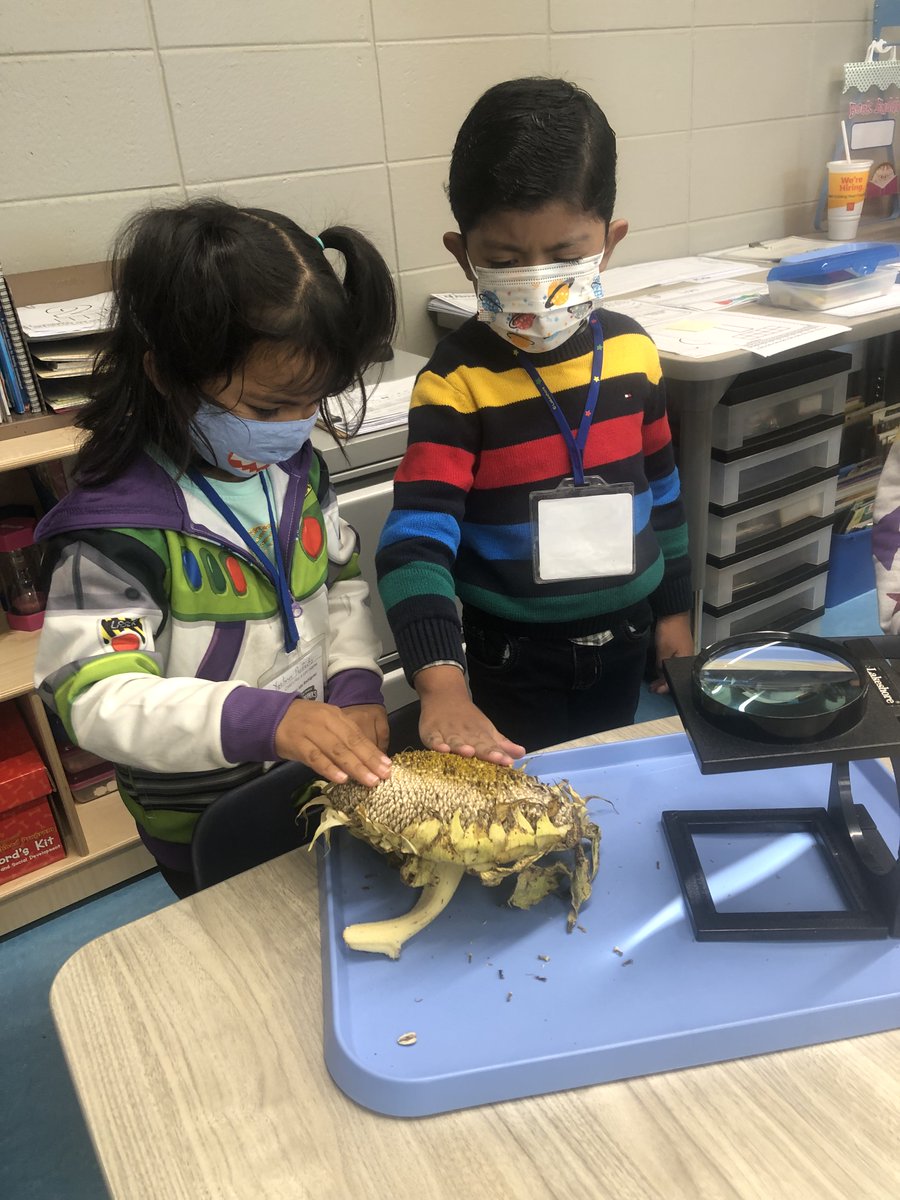 Ida Rodriguez tweet media