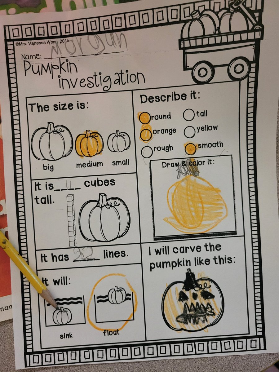 Miss McCabe tweet media