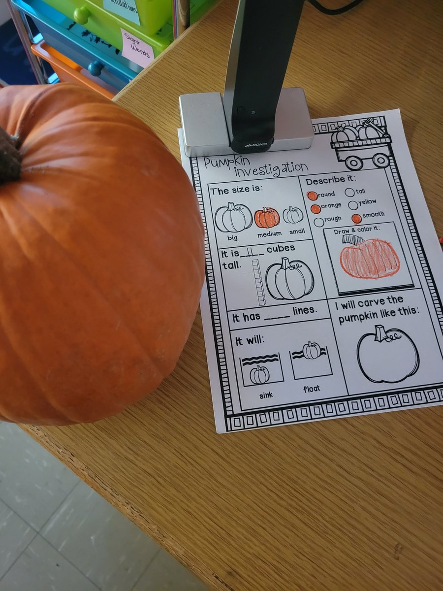 Miss McCabe tweet media