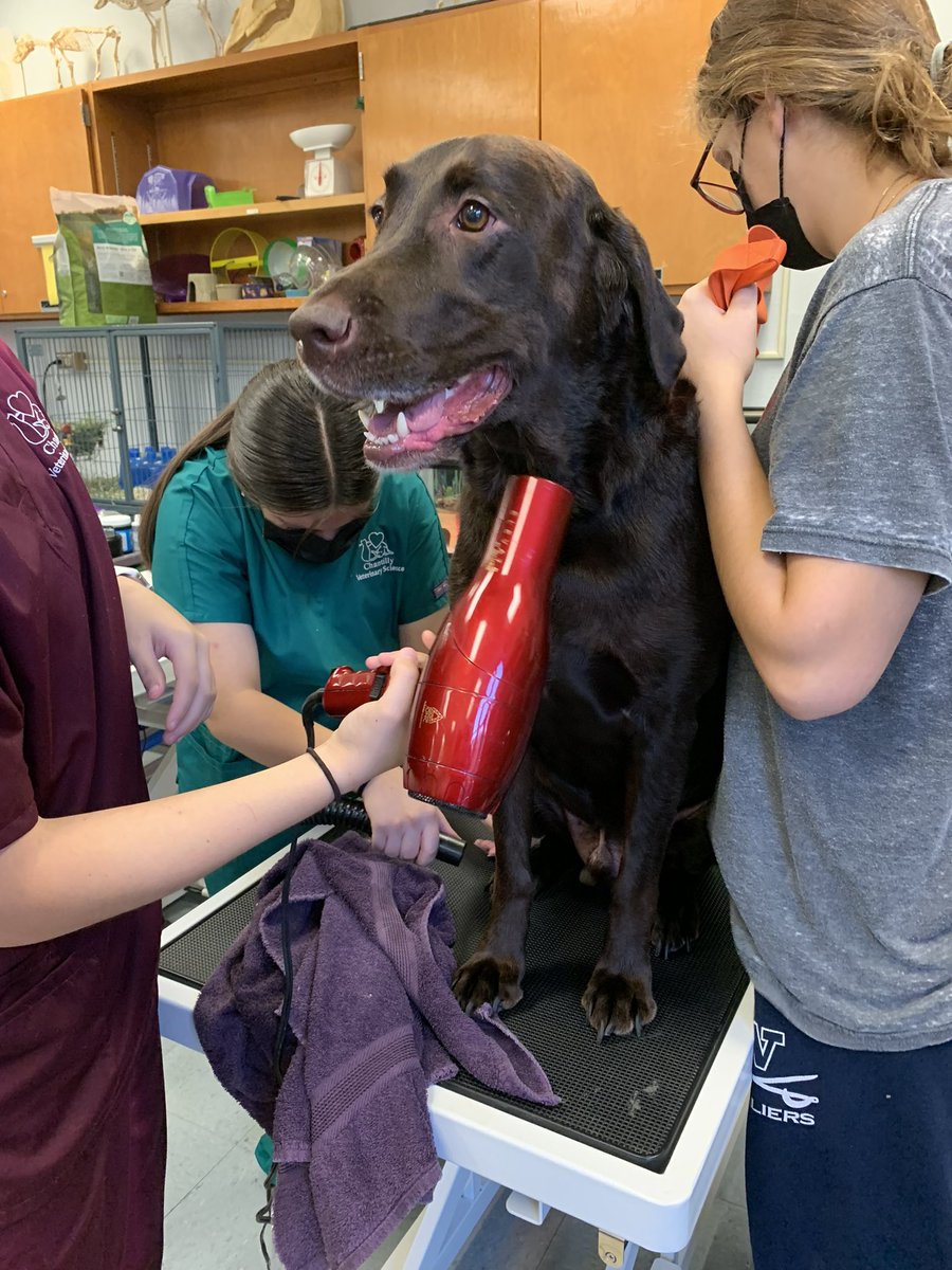 Sarah Talley tweet media