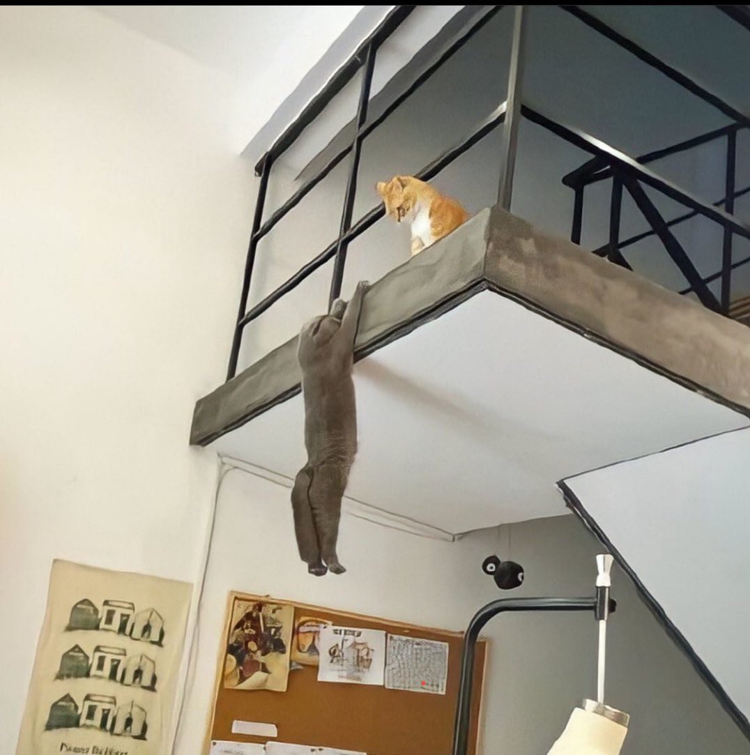 JeanPaulepanda tweet media