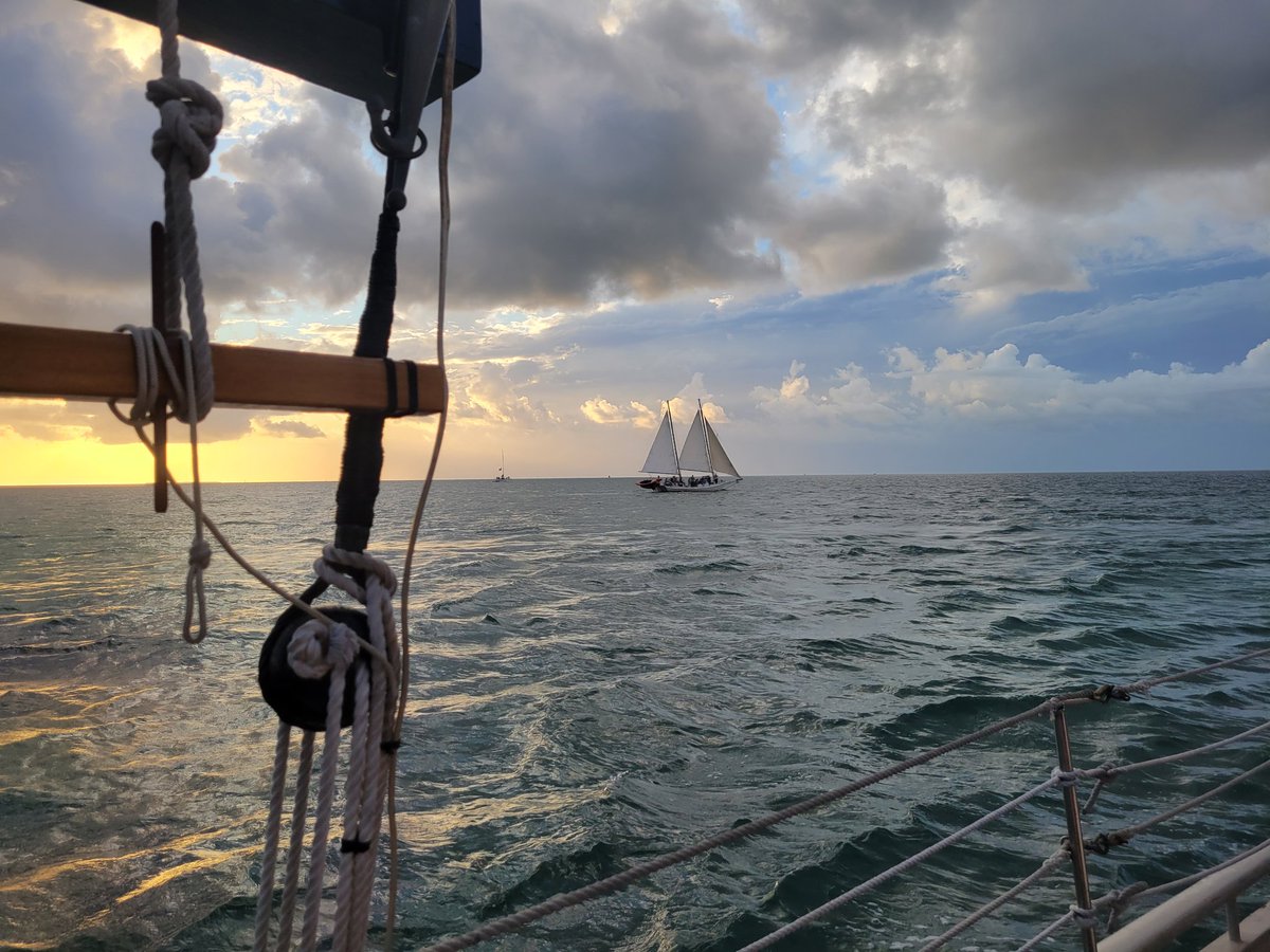 LongArchProject's tweet photo. This week marks one year since I started the Long Arch Project. Sail over to the blog to read my thoughts about the past year and hopes for more over the next. 

https://t.co/RI7G3vDuKa

#twitterstorians https://t.co/cNefJu8Kh3