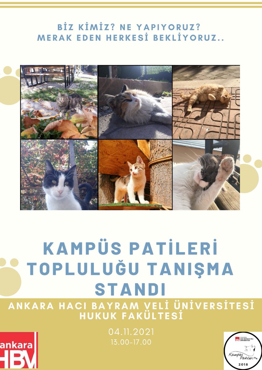 Herkesi bekleriz 🐈🐾