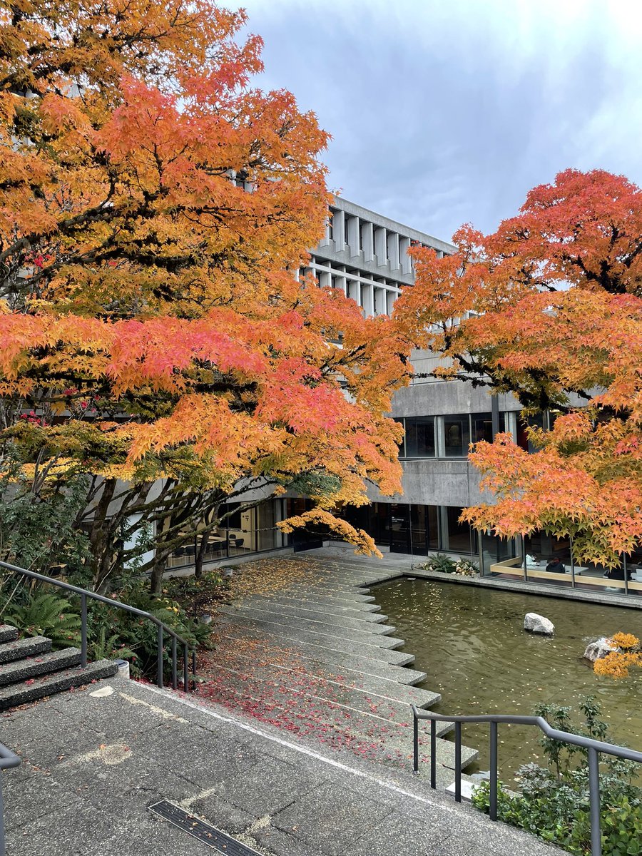 MadisonBHarvey's tweet photo. It’s my favourite time of year on campus! #SFU https://t.co/HS8buKhn8L