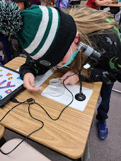 Karen_IL's tweet photo. Learning about planaria in 4th grade today, thanks to the IPSD Science Department for making this possible. https://t.co/6NuNblBn6r