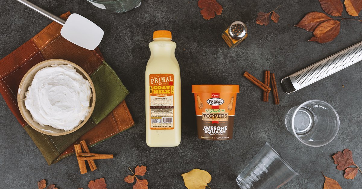 Have you tried Goat Milk with pumpkin added to your dogs diets? Just in time for Halloween and the holiday! Mention this ad and receive back $! pbxx.it/XwfKGd