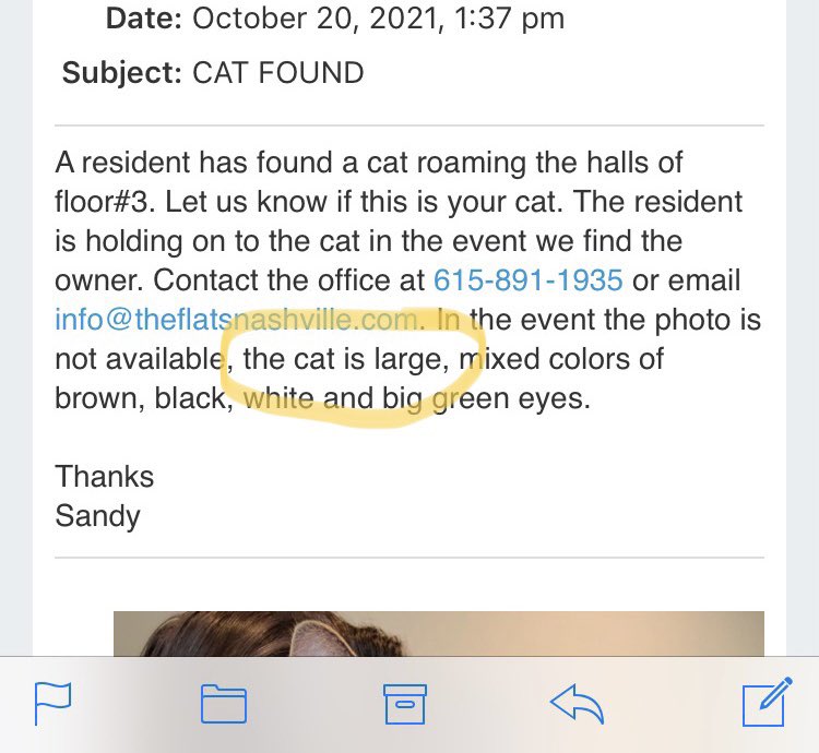 helloitsbella's tweet photo. My cat got fat shamed after she escaped from my apt and was found. They said they knew she wasn’t a stray because “she’s definitely been fed” guess I have to put her on a diet now https://t.co/kWuBLHNI5c