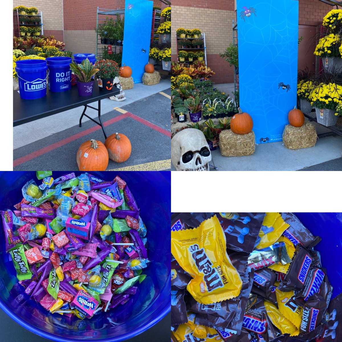 Zony Mannan tweet media