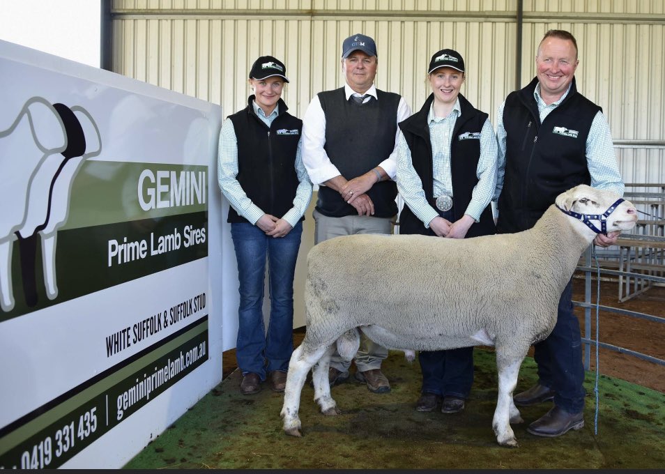 Thankyou again to all who made our 23rd Sale one for the record books!  
A Stud Record price of $18,000 for Lot 1, successfully purchased by the Hedingham White Suffolk, Wickepin, WA. 13 Specially Selected Rams sold to$18,000, avg. $3711, 79 Flock Rams sold to$3,000, avg. $1700.