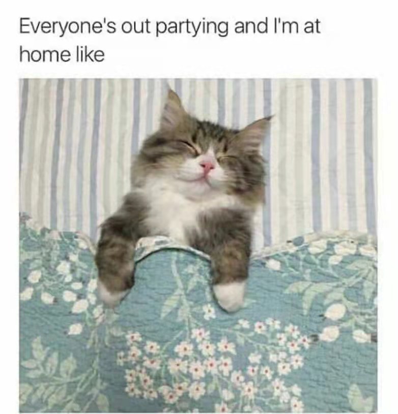 Dizzybusy2's tweet photo. I feel great to have a sound sleep. #Dreamcatcher #nightlife #FridayFeeling #FridayMotivation #fridaymorning https://t.co/WOk1wnqwbR