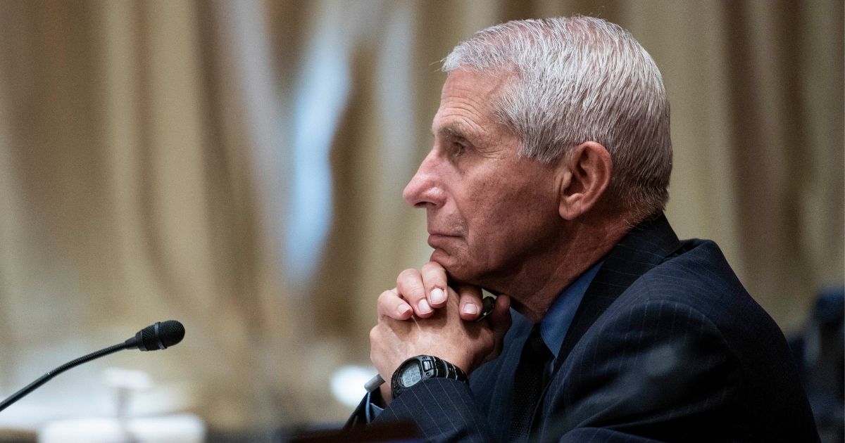 TPNN_ThePoint's tweet photo. NIH Confirms It Funded Wuhan Gain-of-Function Research, Now Fauci Could Spend 5 Years in Jail https://t.co/Duqawnp0nX https://t.co/sDFszfLt2U