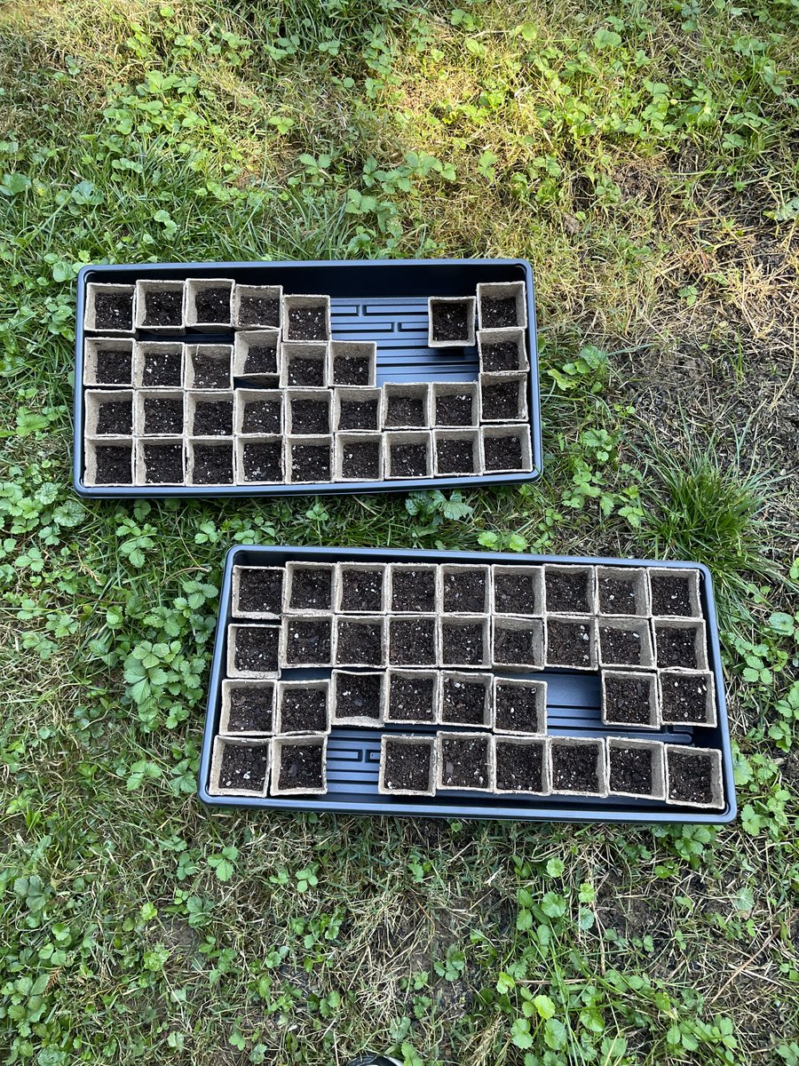 Barbie Yeager tweet media