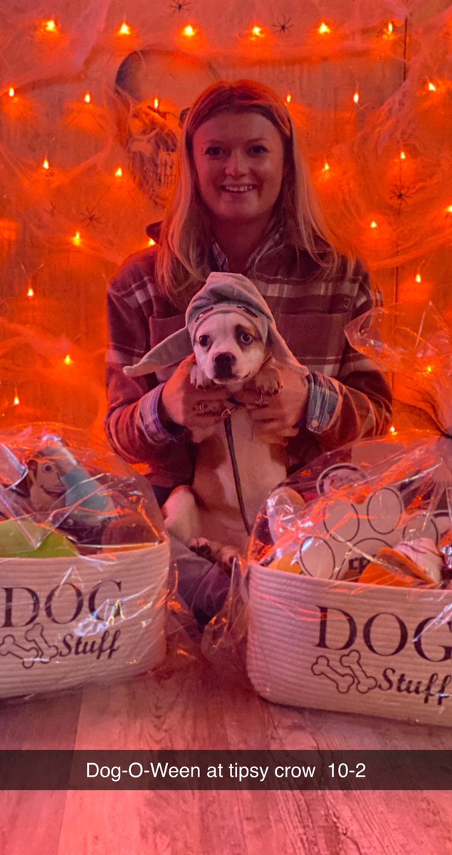 TKDubs15's tweet photo. As you can tell Frank’s super excited about Dog-O-Ween on Saturday 😂 https://t.co/ht3B7zlMZp