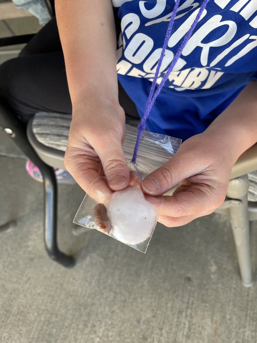 Barbie Yeager tweet media