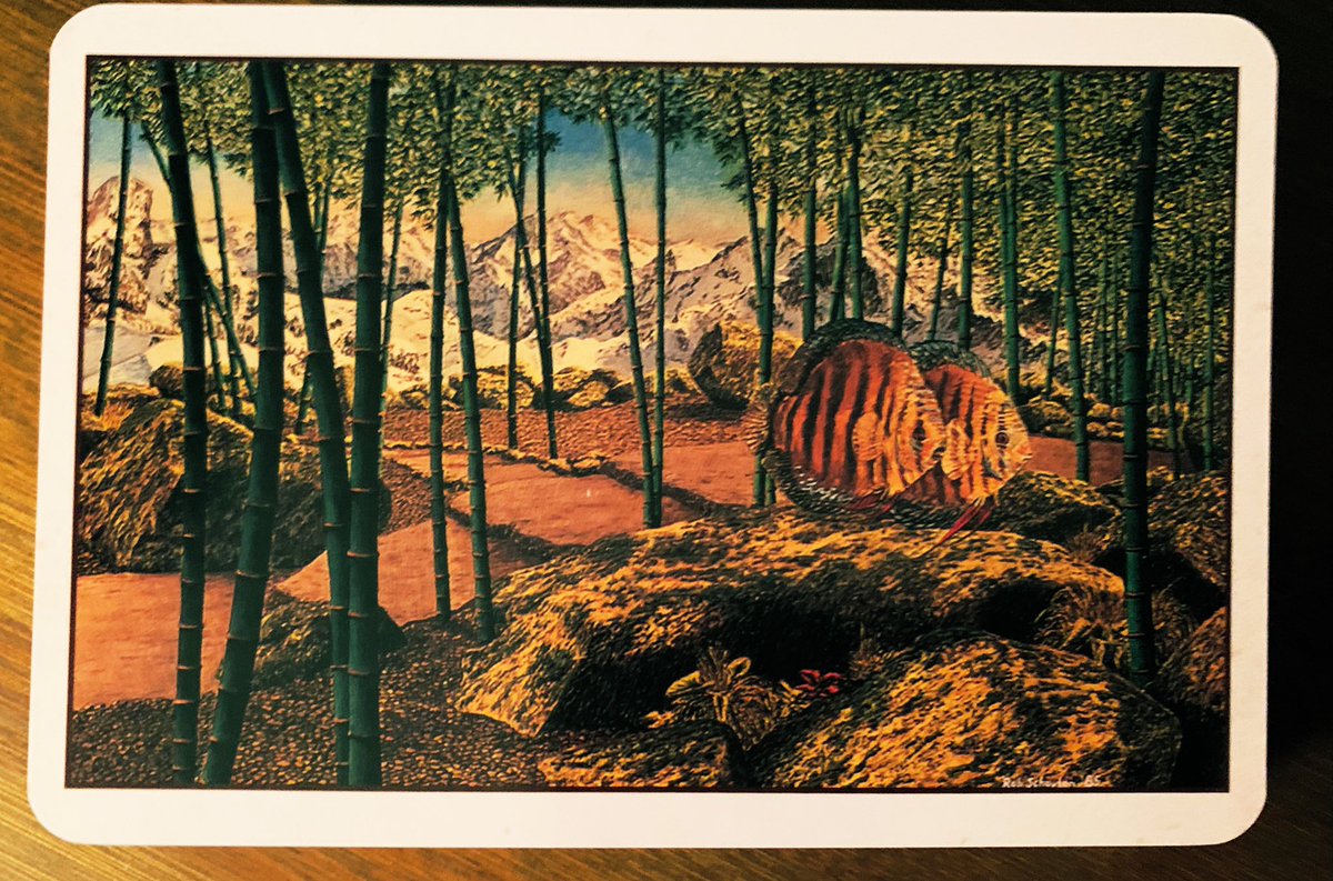 ElevatedBliss's tweet image. Evening Tones:
Fish out of water. Do not be limited by your belief systems. 🐠 

Where Heart and Spirit Travel by Rob Schouten 
#ThoughtExperiment #PowerDeck